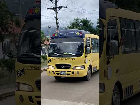 Hyundai de transportes tupsa exclusivo 629 ruta morazan negrito progreso #hyundai #buses #honduras