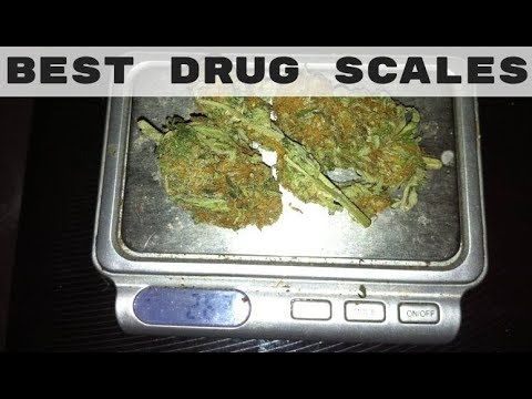 download lagu mp3 mp4 Best Accurate Scale, download lagu Best Accurate Scale gratis, unduh video klip Best Accurate Scale