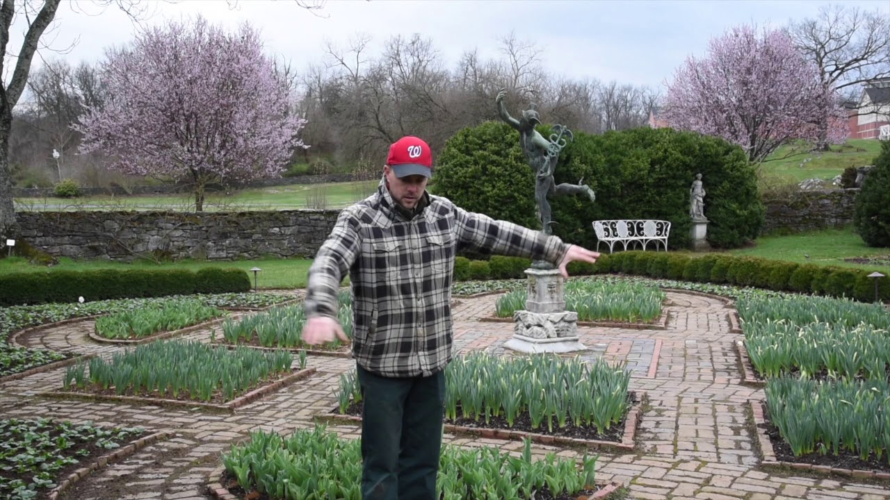 Parterre Garden Thought