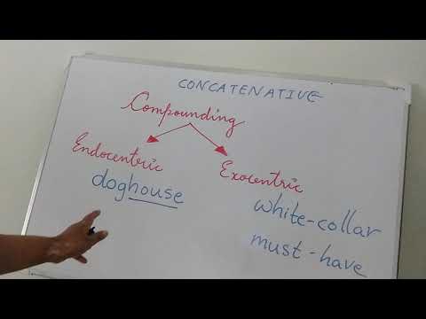 endocentric and Exocentric compounding