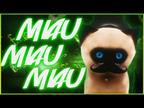 WhatTheHell & Gronkh – MIAU MIAU MIAU!