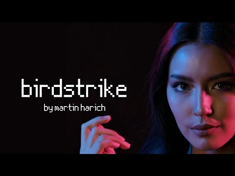 Birdstrike - Martin Harich