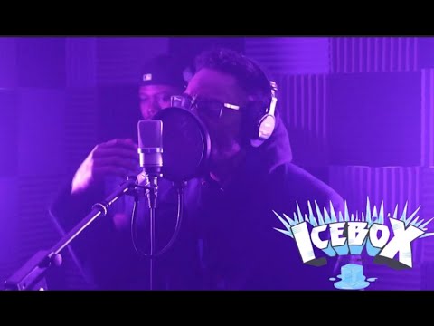 Ali Wild - I Said what I said | IceBox Freestyle Performance 🧊 Episode 5