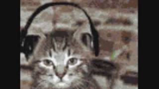 Hamster Dance (Random Dancing Animals)