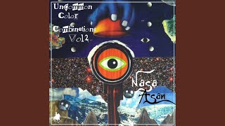 Purple Suede Guitar Case Killer