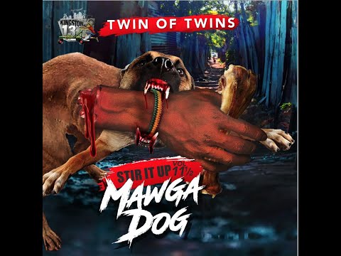 Twin Of Twins - Stir It Up Vol 11 and a half - Trailer