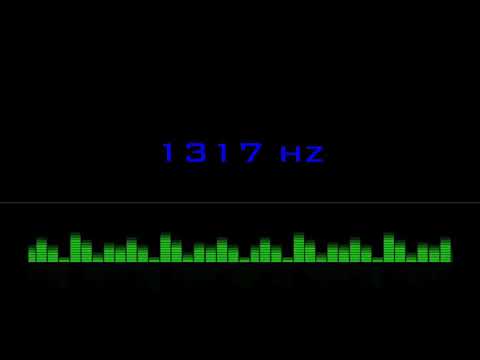 1317 hz