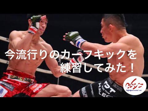 今格闘技界で流行っているカーフキックを武術的アレンジを加えて練習してみました