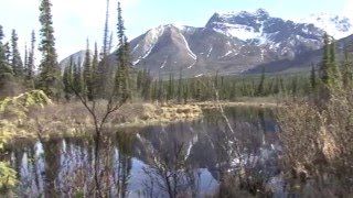 preview picture of video 'Nabesna Road, Alaska, USA'