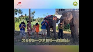 クラウドファンディングプロジェクト：コロナ禍で失業したタイの象達を守るために象と人が幸せに共存できる新たな観光の形をスリン県で作りたい！