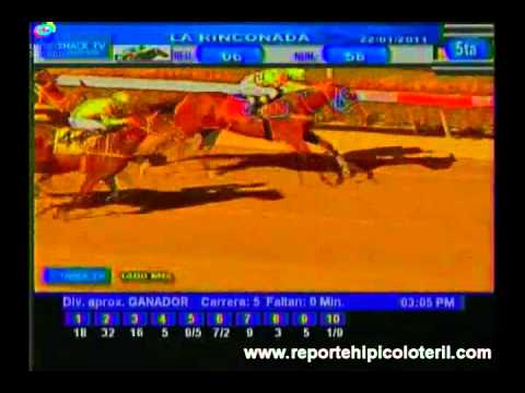 Resumen La Rinconada Sabado 22/01/2011