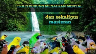 Download lagu TERAPI AIR untuk semua burung macet bunyi, menambah burung semakin gacor dor. TANPA DOPING mp3