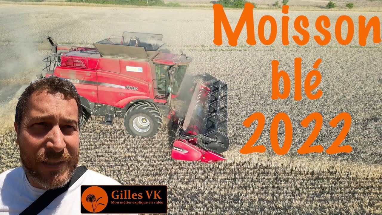 moisson des blés 2022 : les effets de la sécheresse et de la canicule