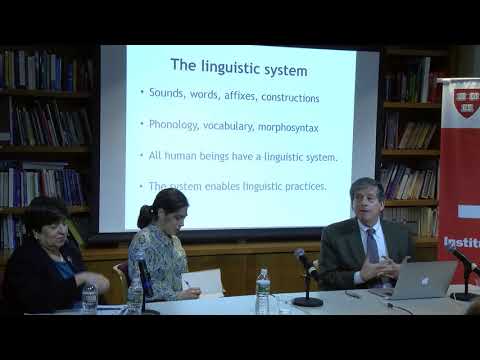 Observatorio Cervantes - Harvard. El sistema lingüístico bilingüe desde el 'translanguaging'