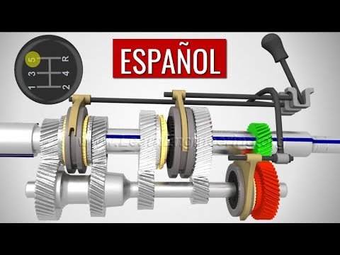 Transmisió manual, ¿cómo funciona?