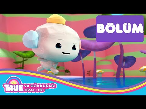 Kaya Prens - TAM BÖLÜM - True ve Gökkuşağı Krallığı 🌈 Çocuklar için Çizgi Film