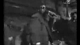 Tim Dog - Bronx Nigga (Strictly Underground Funk  remix) [vls version]