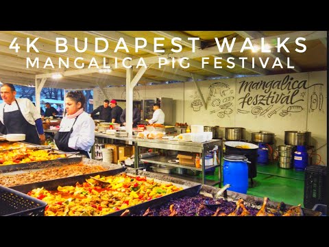 4K Budapest Walks 🇭🇺 Exploring the Mangalica Pig Food Festival - For Lovers of All Things Pork.