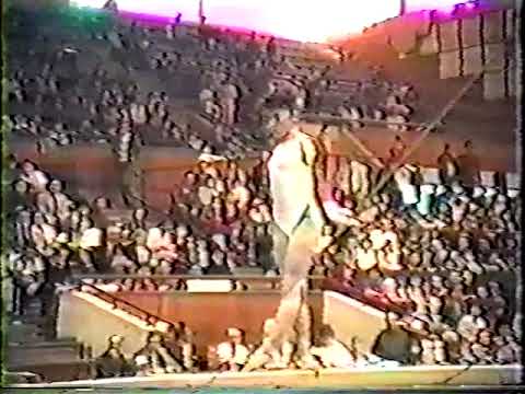 EF BB 1990 Romanian International   Maria Neculita ROM