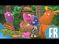 Les Mélodilous Au Cœur De La Jungle Ep 2
