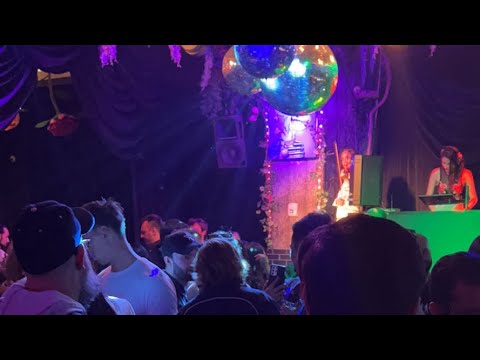 Bored Ape Party at Somewhere Nowhere NYC