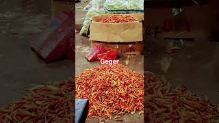 Download lagu want to go up again #shortsvideo mp3 Download lagu want to go up again #shortsvideo mp3