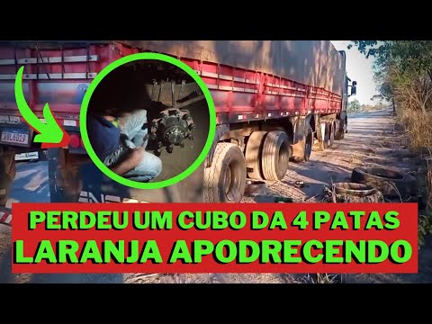 PERDEU UM CUBO DA 4 PATAS - LARANJA APODRECENDO 🍊😩