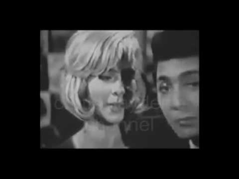 Sylvie Vartan & Paul Anka - I'm Watching You (1965)