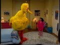 Sesame Street Big Bird Sleeps Over At Gabi S
