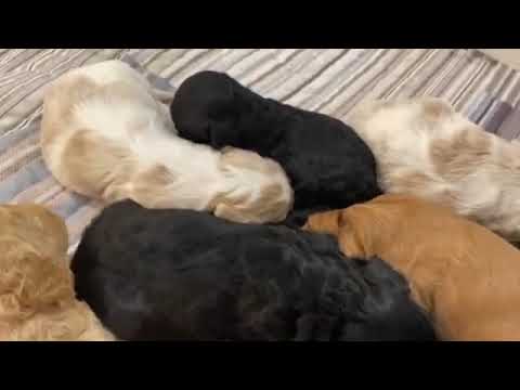 Deb's Doodles Movie Monday 10-5-2020 Anna