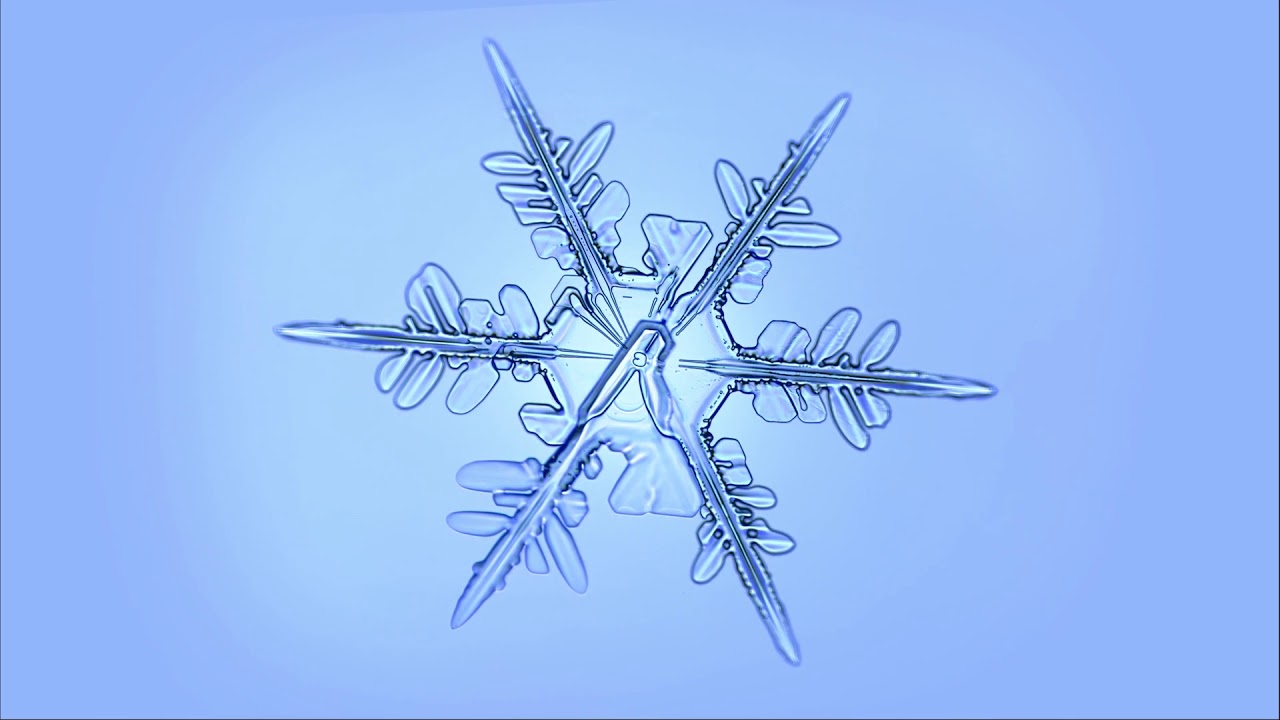 youtube video id=bDPczGUovzE