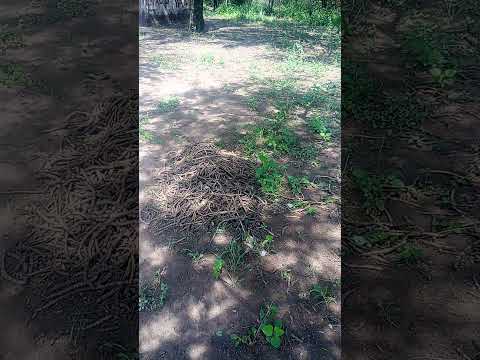 #desde frias#santiago del Estero 😊