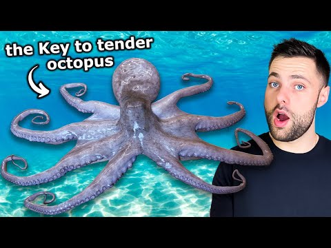 How to Cook Octopus: Grilled, Sousvide, and SMOKED