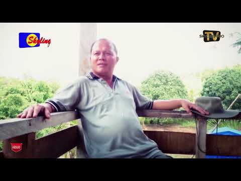 Joannes Lajungin  - SORO SOROHON OM POMUSARAHAI