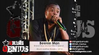 Beenie Man - Brand New Money Me A Spend [Black Leather Riddim] December 2014