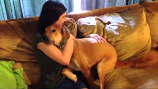 My Dog and Me (John Hiatt cover)