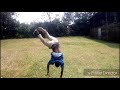 Meddy Song Dance By Dylen Devi