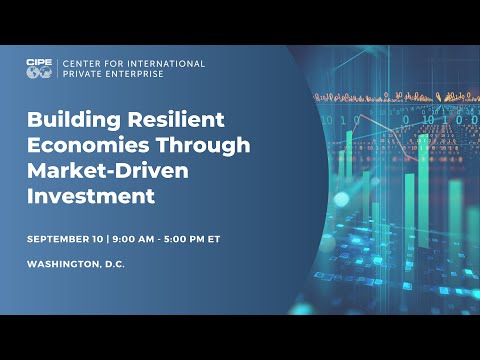Building Resilient Economies Through Market-Driven Investment