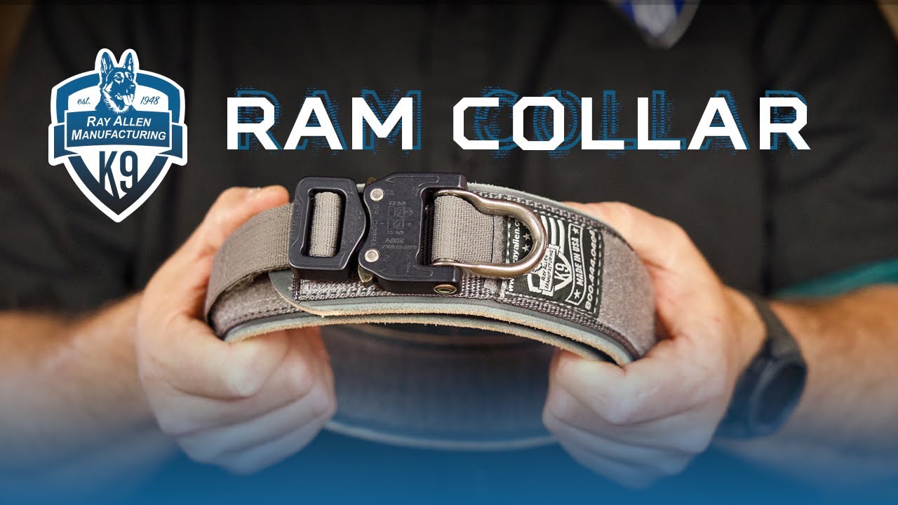Watch video Leather and Nylon Agitation Dog Collar Review - RAM Collar Now Leather and Nylon Agitation Dog Collar Review - RAM Collar