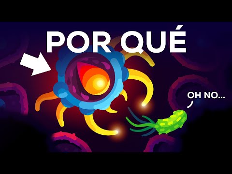 We are immune to all diseases