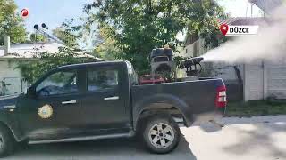 Kahverengi Kokarcayla Mücadele Sürüyor