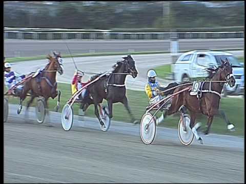 Trotto 13/11/2016 - 2ª corsa