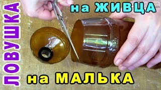 Ссылка