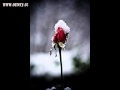 Heavenly - Condemned to Die,good