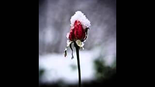 Heavenly - Condemned to Die,good