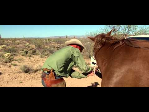 E.O.F.T. 15/16 - First Glimpse UNBRANDED