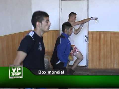 Box mondial