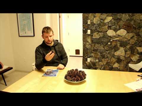 Crapshots Ep84 - The Temptation