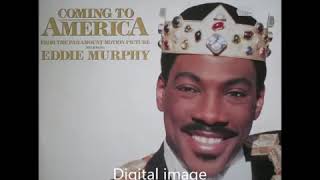 Coming To America, The System