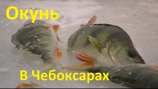 Отчет о рыбалке в чебоксарах